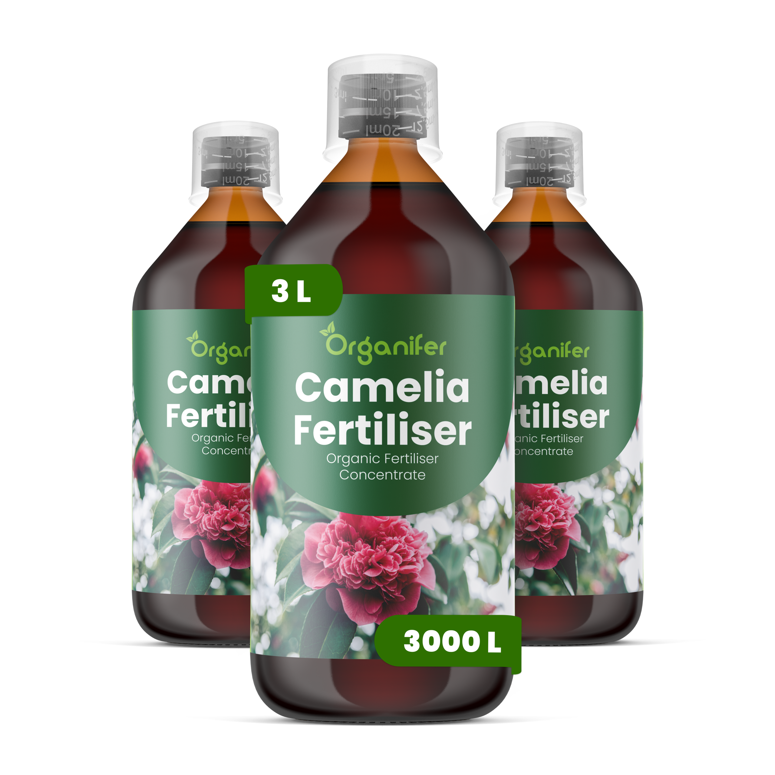 8719958004924 2L Camelia labels