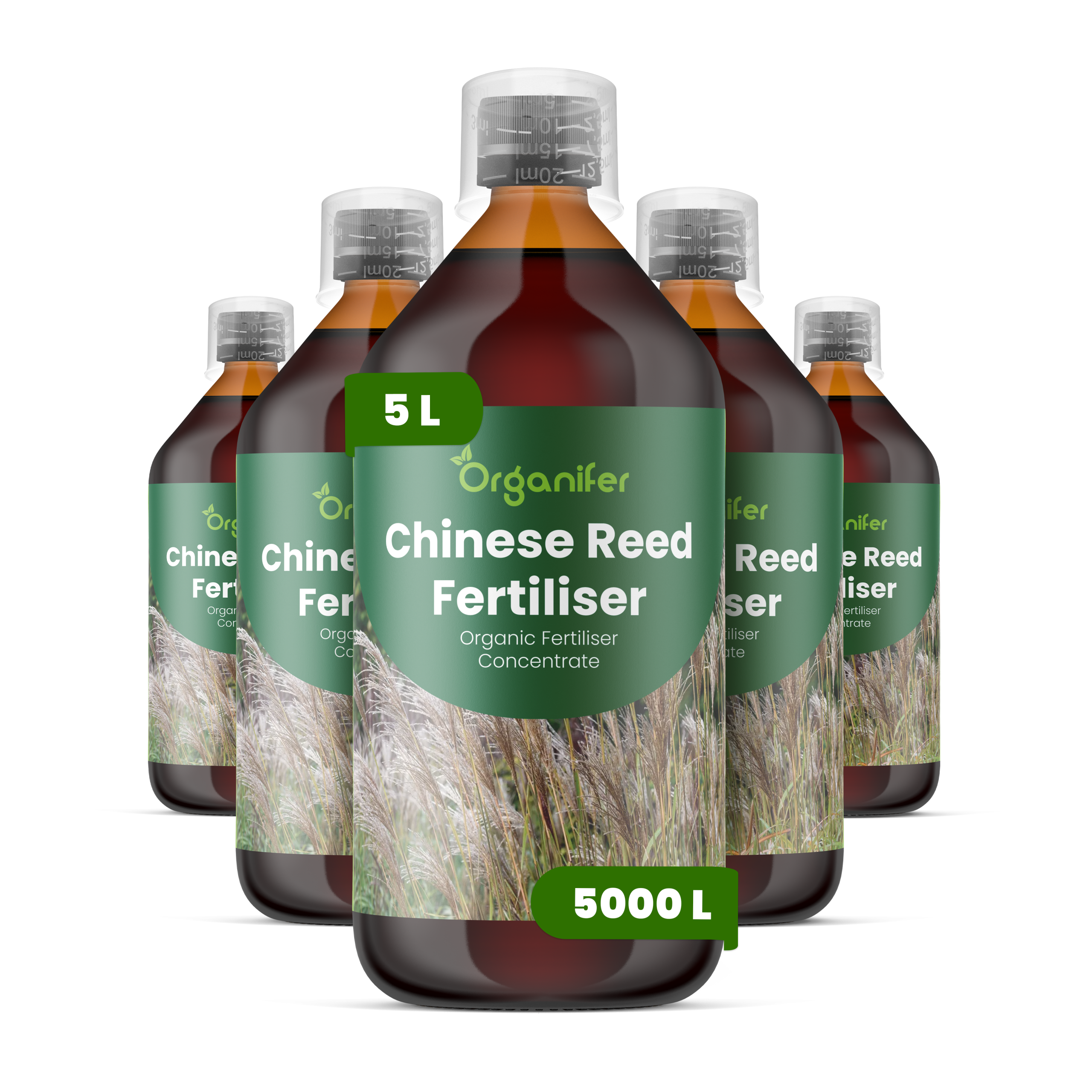 8719958005075 5L Chinese Reed labels