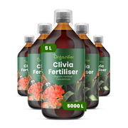 8719958005358 5L Clivia labels