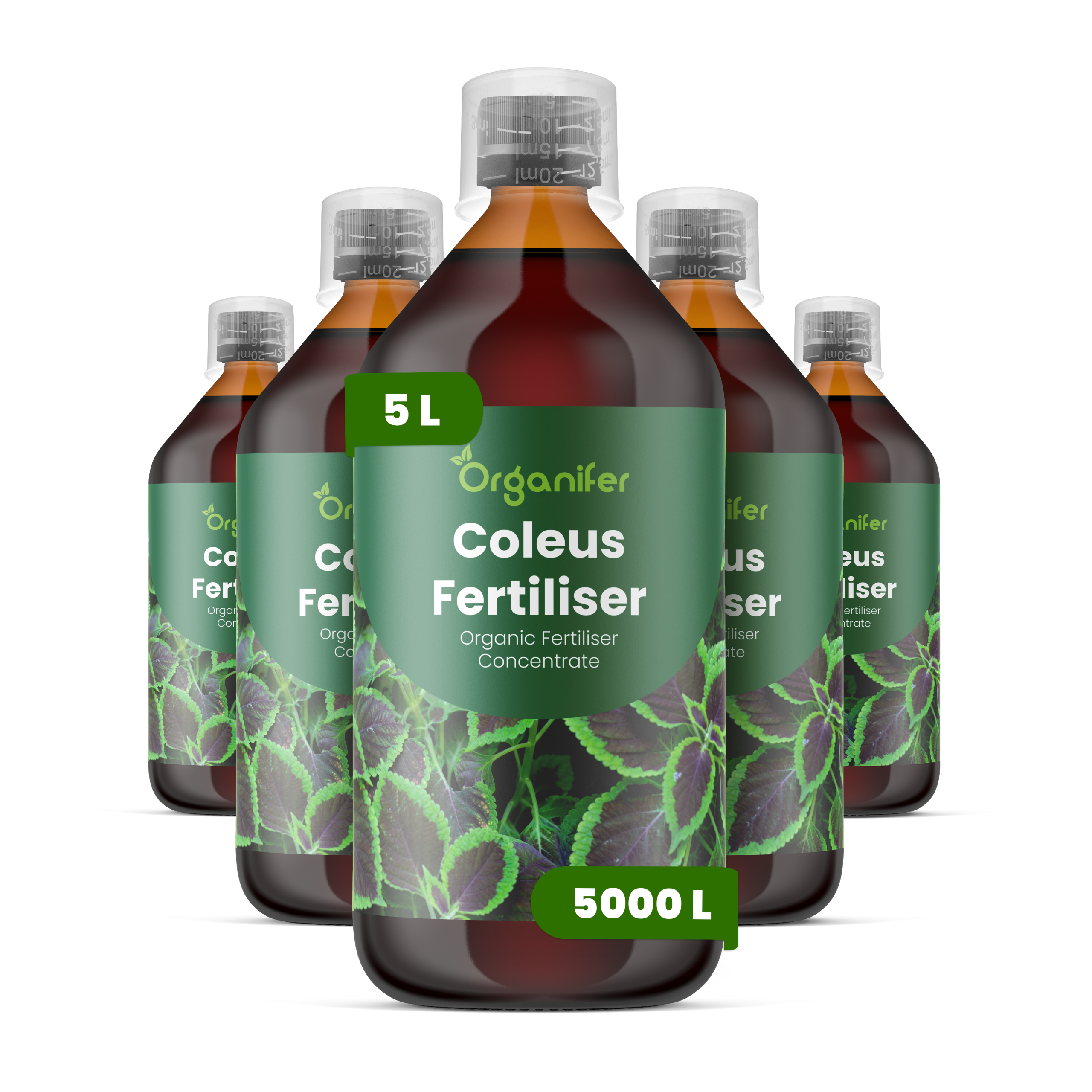 8719958005433 5L Coleus labels