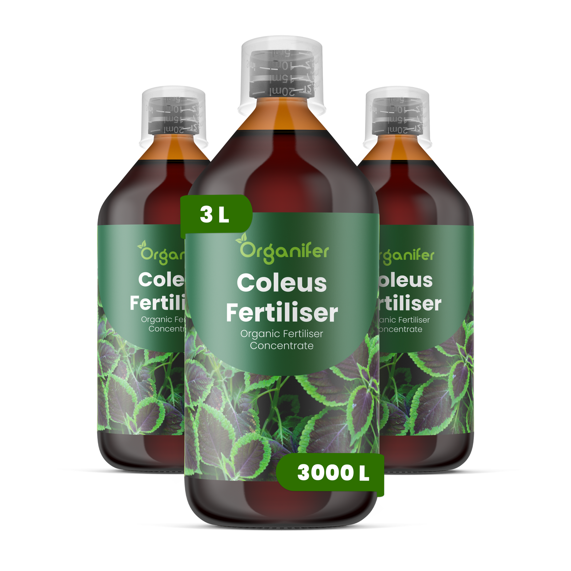 8719958005457 3L Coleus labels