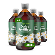 8719958005662 4L Daisy labels