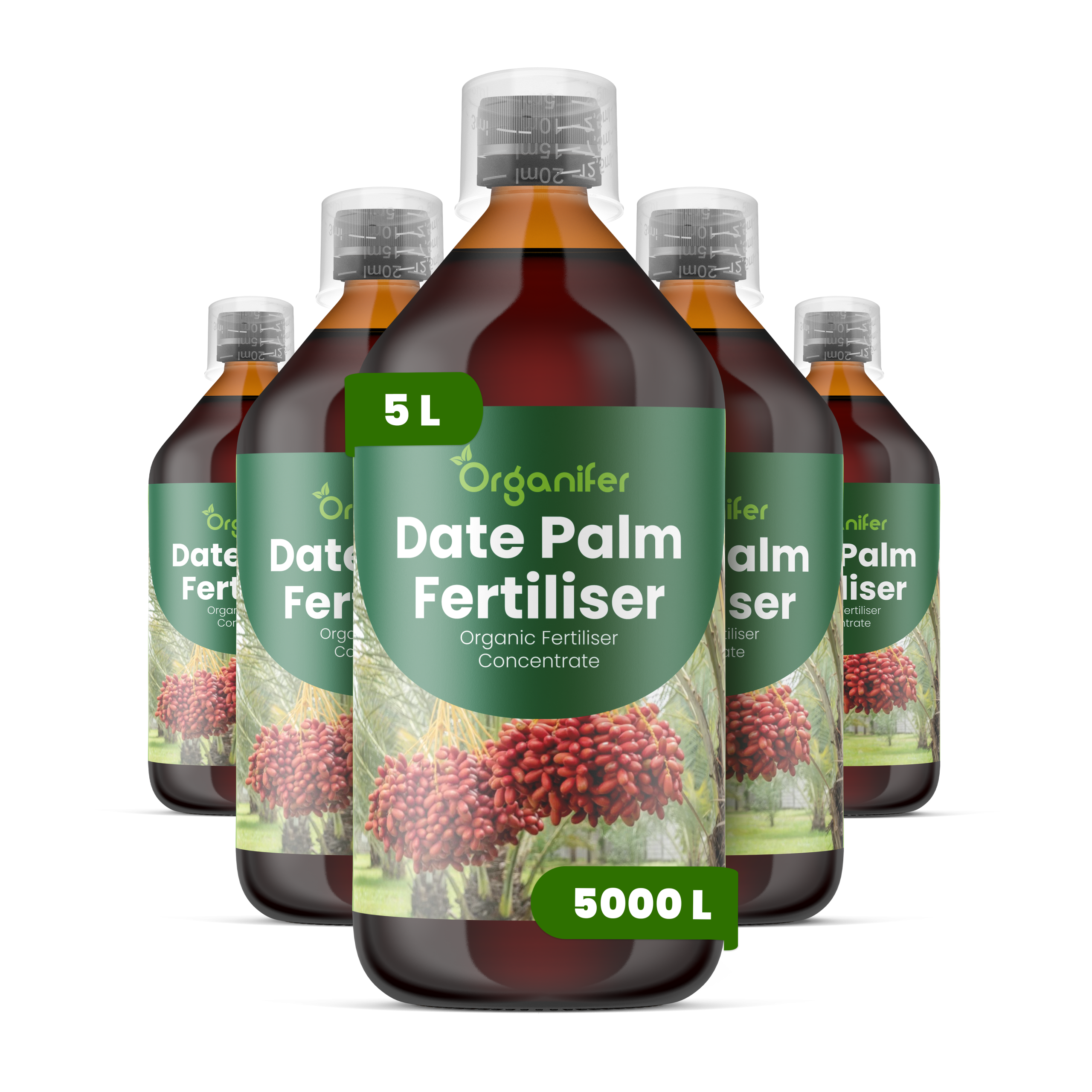 8719958005679 5L Date Palm labels