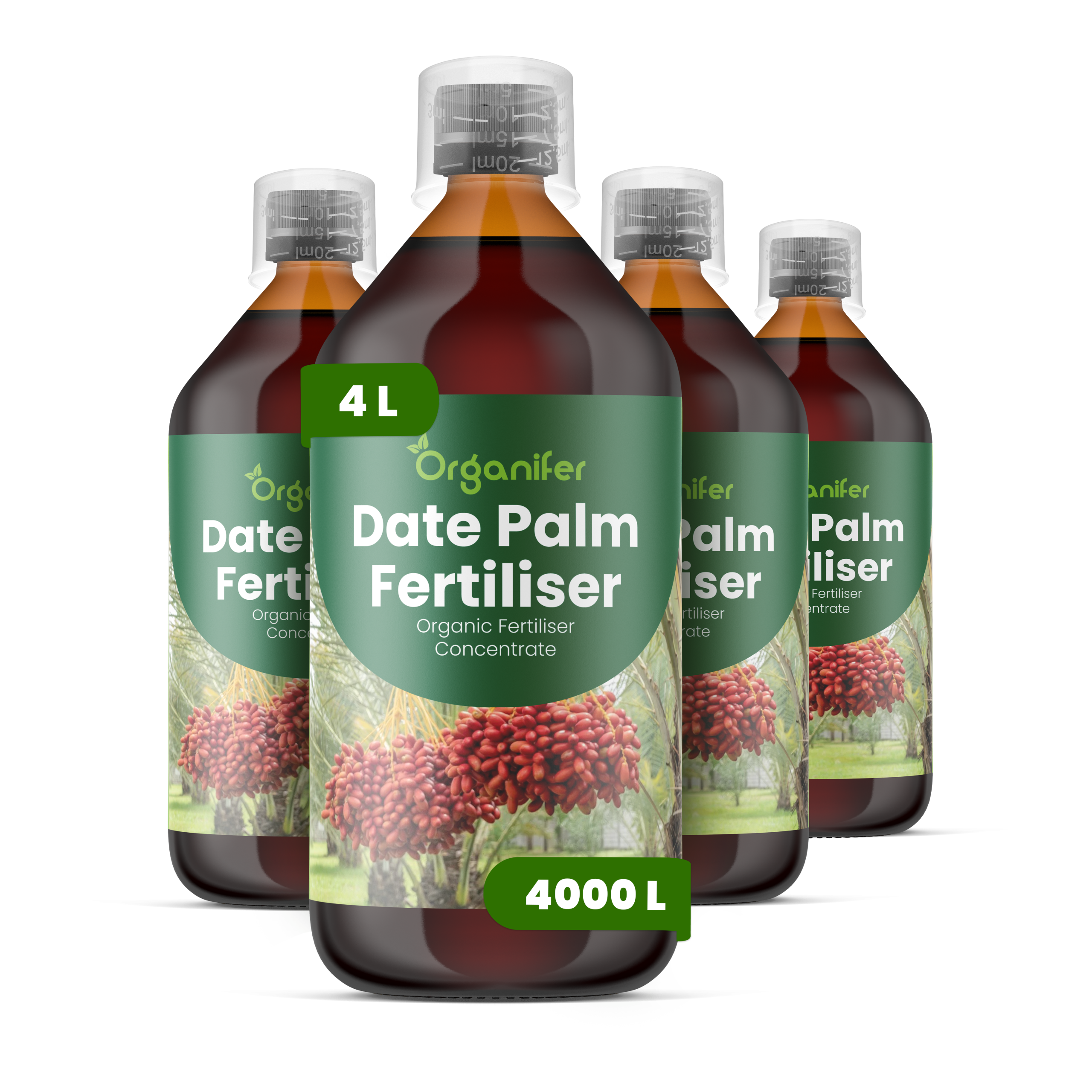 8719958005709 4L Date Palm labels