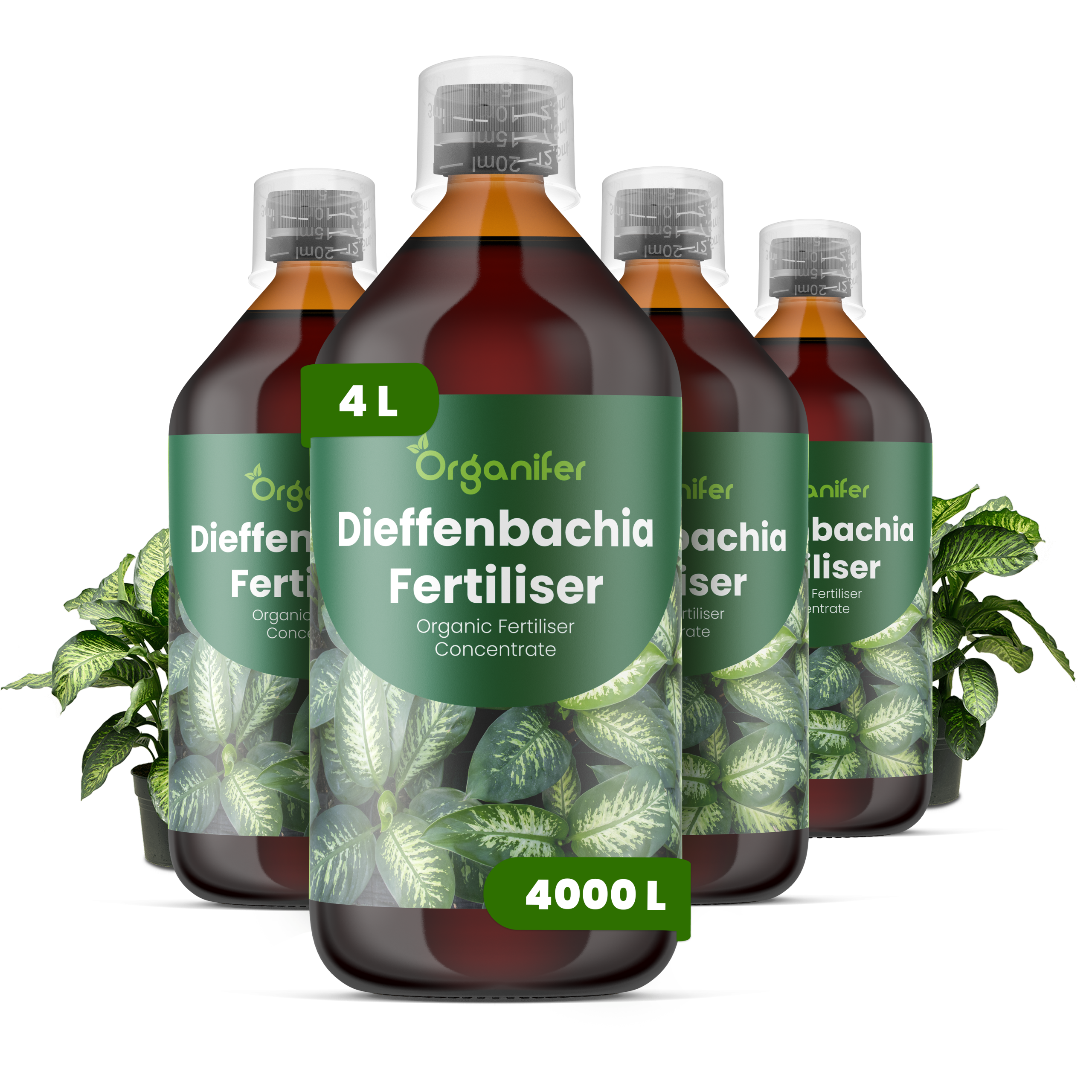 8719958005785 Dieffenbachia 4L labels and elements