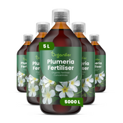 8719958006393 5L Frangipani labels