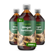 flydende ingefærgødning - Sæt 3x1 liter