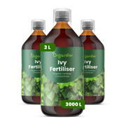 liquid fertiliser Ivy organifer