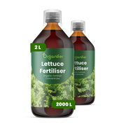 organifer-lettuce-liquid-fertilise