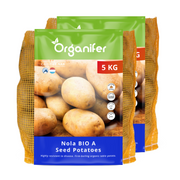 8719958012271 Nola BIO A 10KG