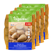 8719958012288 20kg Oscar A