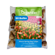 Package of Organifer tulip bulbs with a colorful label on a white background