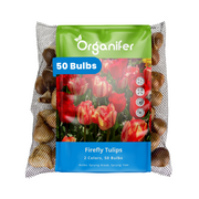 8719958013988 Firefly Tulips 50 labels