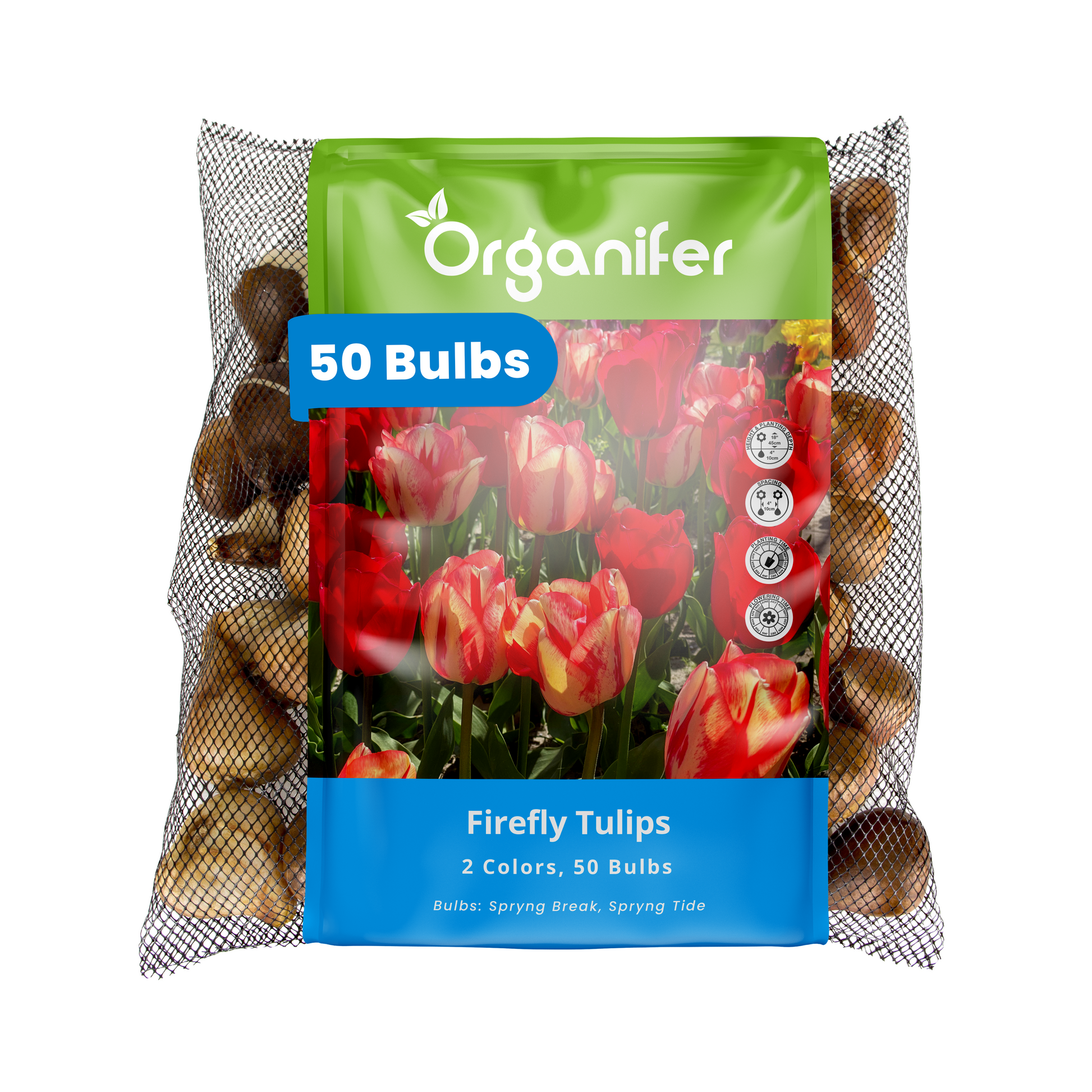 8719958013988 Firefly Tulips 50 labels