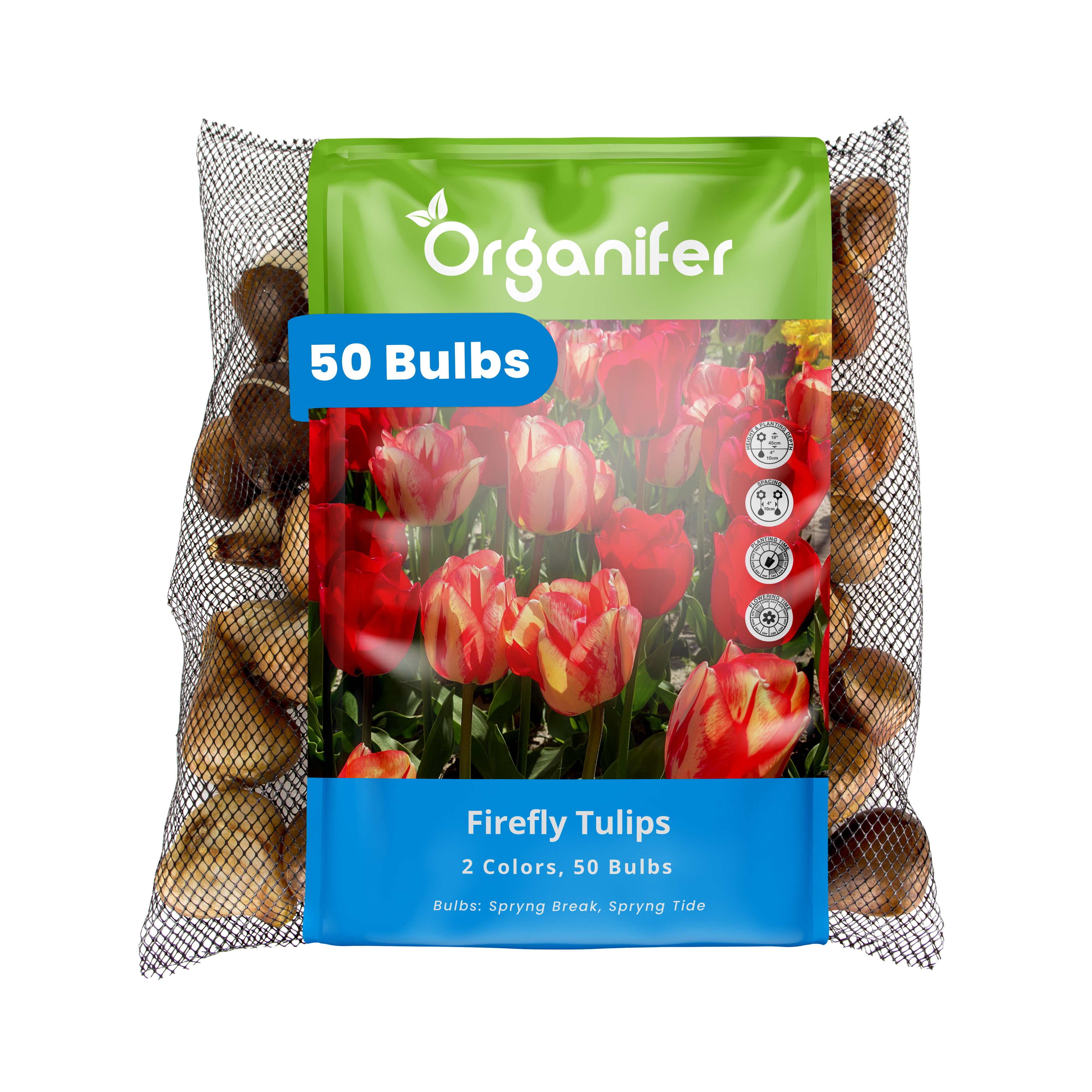 8719958013988 Firefly Tulips 50 labels
