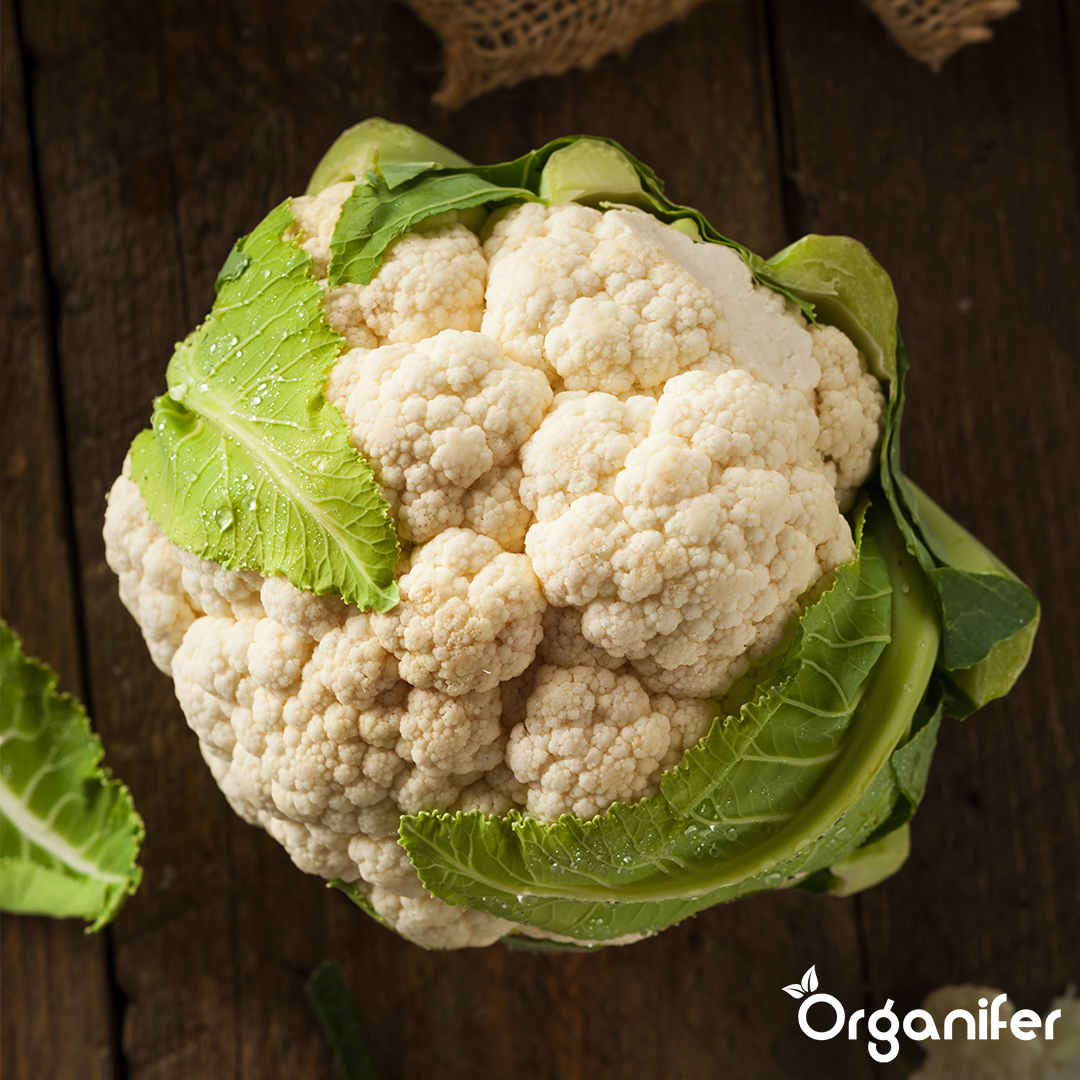 Altan- og Plantekassegrøntsagsfrø