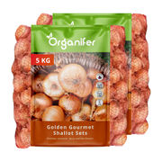 8719958991729 Shallots Sets Golden Gourmet (10 kg)