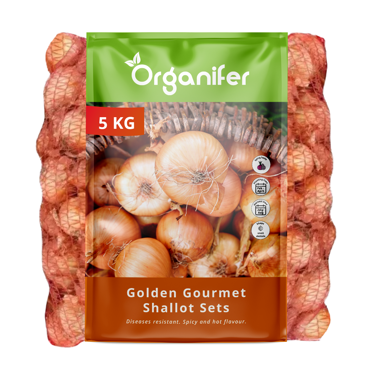 8719958991736 Shallots Sets Golden Gourmet (5 kg)