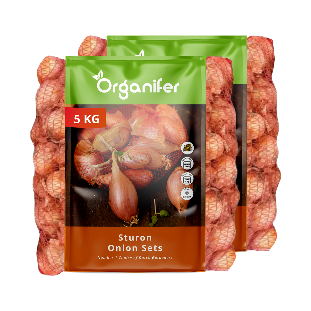 8719958991842 Onion Sets Sturon 14_21 (10 kg)