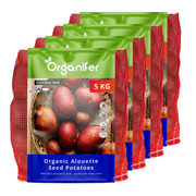 8719958991897 BIO Potato Seeds Alouette A 28_35 (20 kg)