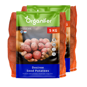 8719958992207 Potato Seeds Desiree A 28_35 (10 kg)