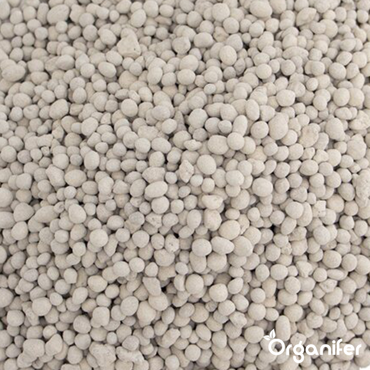 Algenkalk granulaat - Organifer
