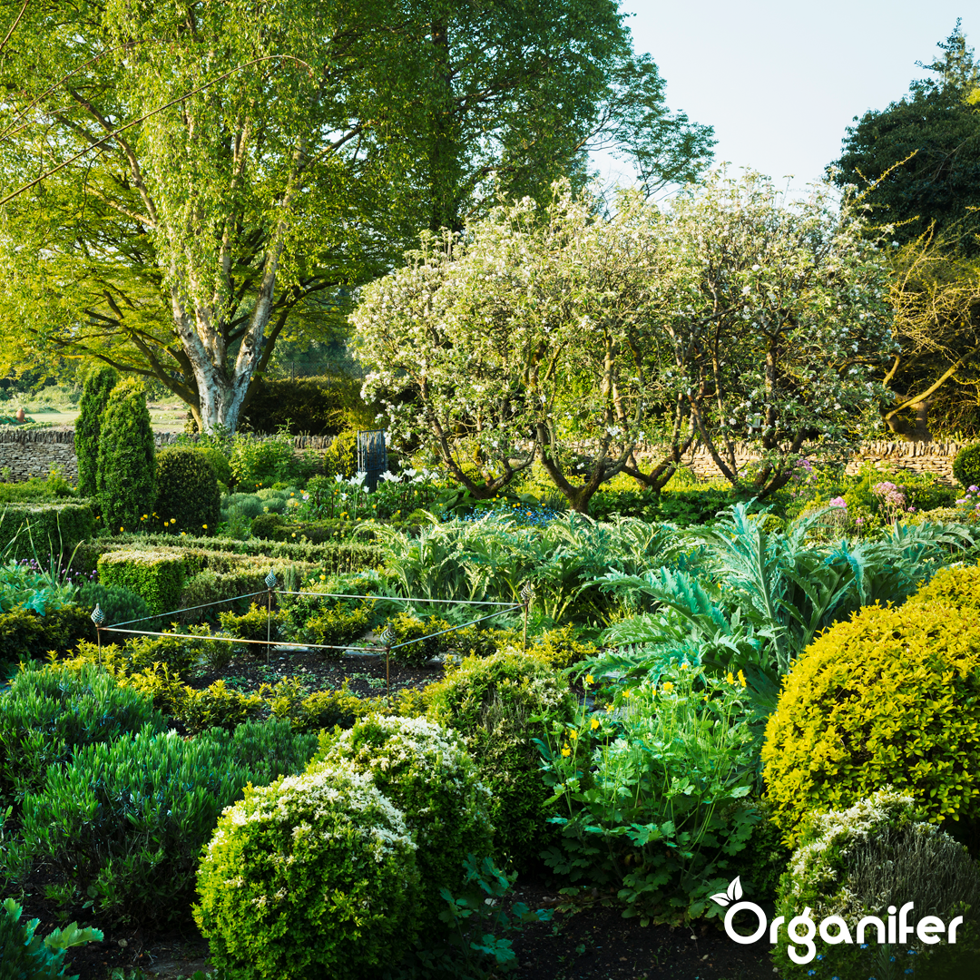 Ammonium Sulphate Fertiliser 2