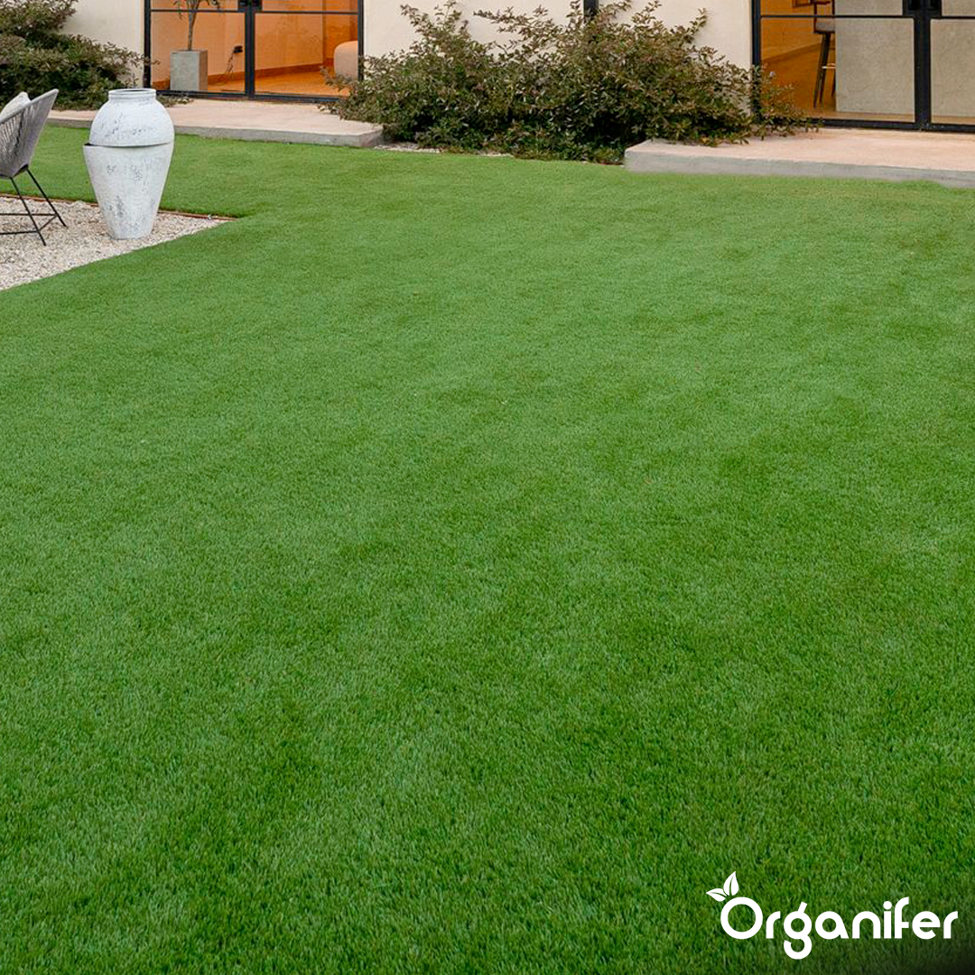 Arida Drought Resistant Lawn 15