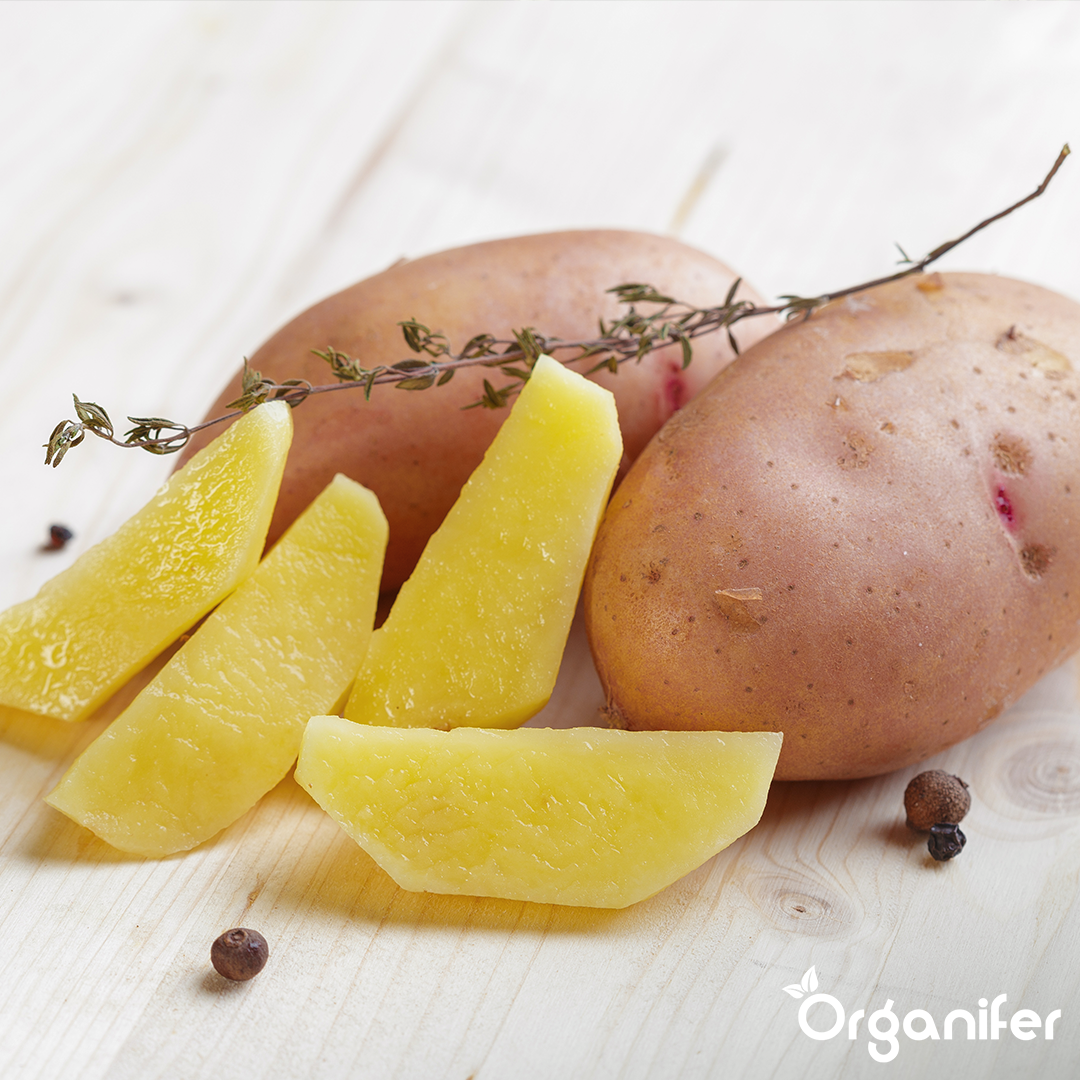 BIO Potato Seeds Alouette A 28_35 7