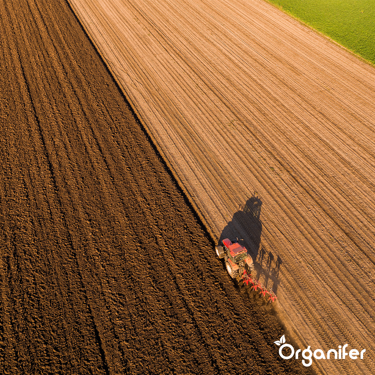 Ameliorator de Sol din Meal de Bazalt pentru Soluri Argiloase (24x – 480 kg – pentru 4.800 m2)