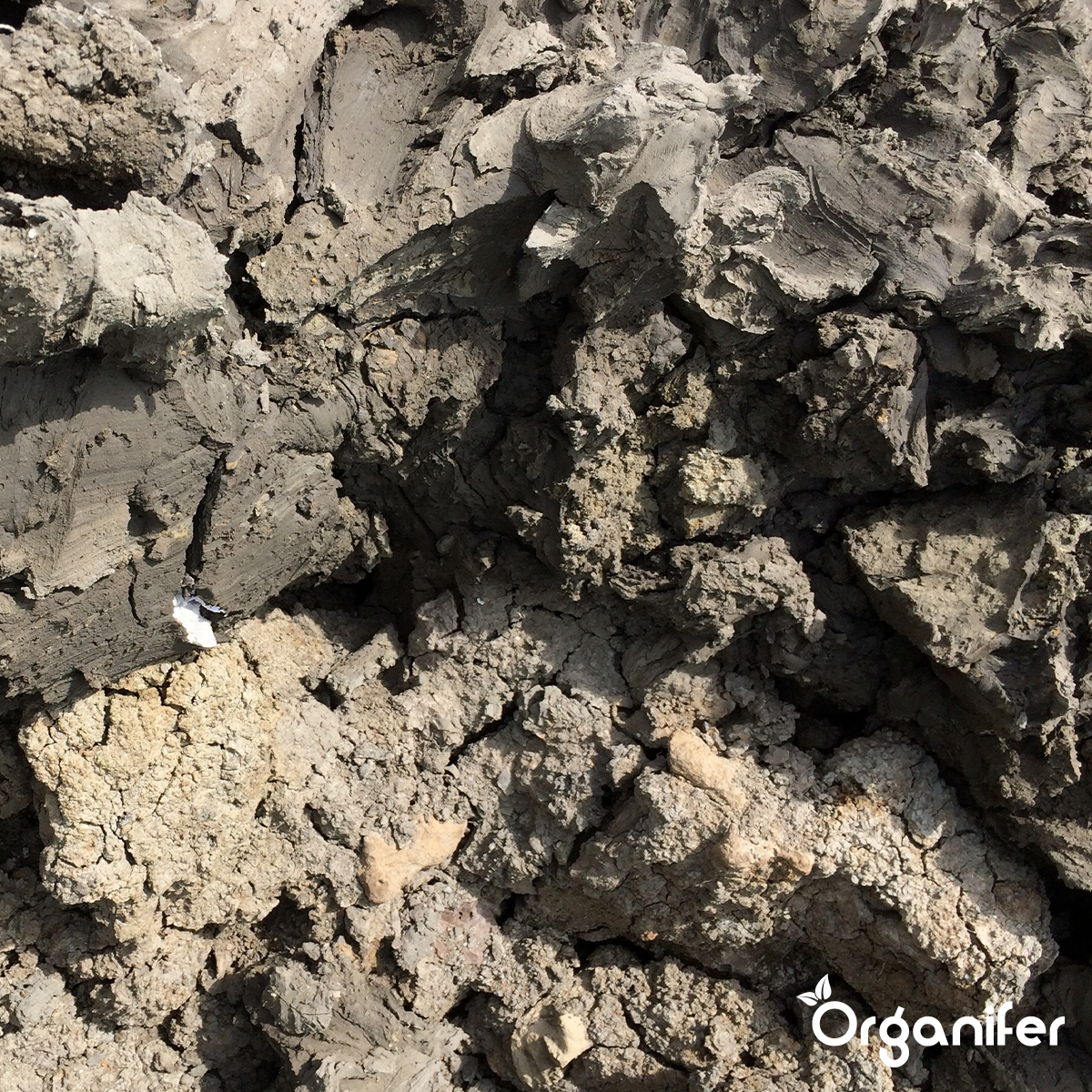 Basalt Meal Soil Improver for Clay Soil  (12x – 240 kg – for 2.400 m2)