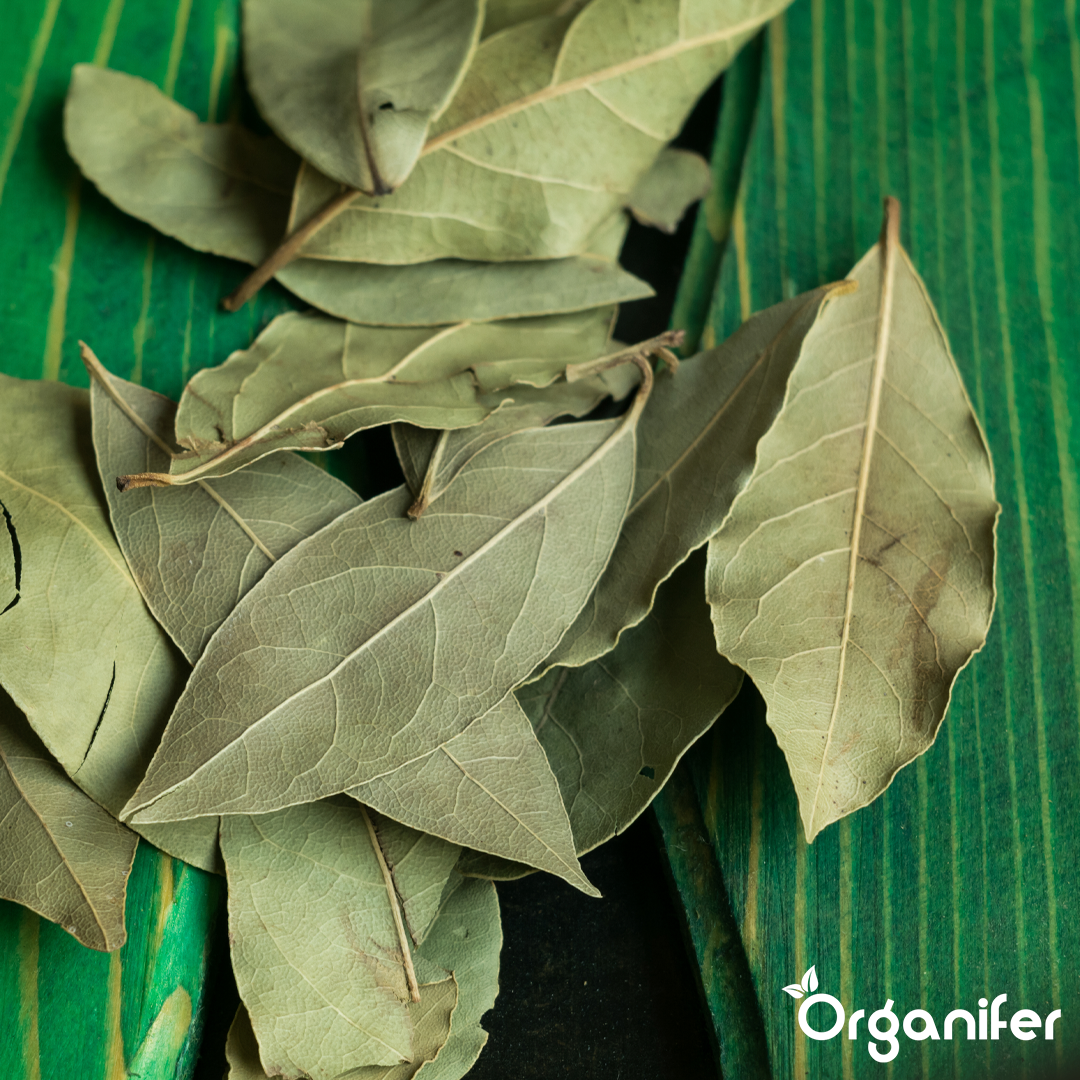 Bay leaf Liquid Fertiliser 1