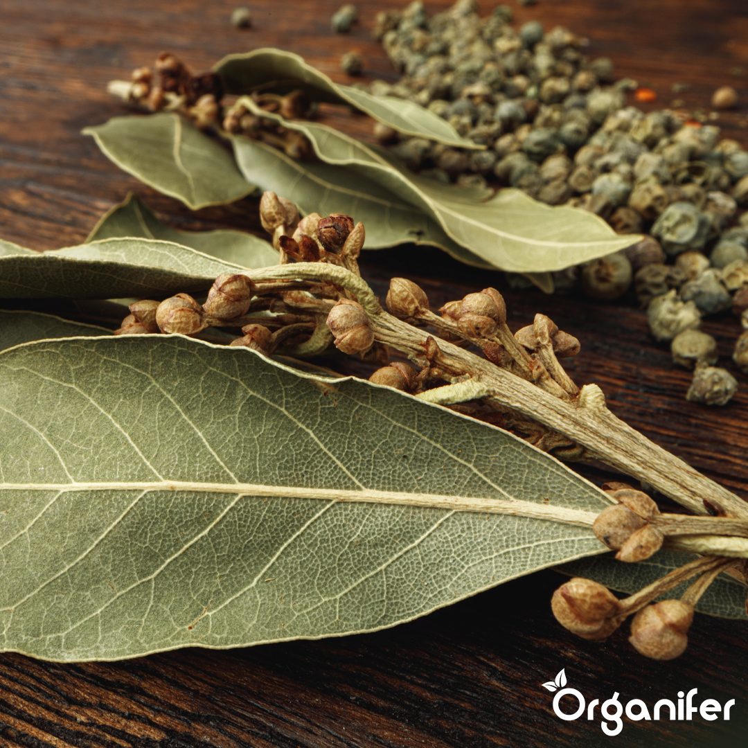 Bay leaf Liquid Fertiliser 8