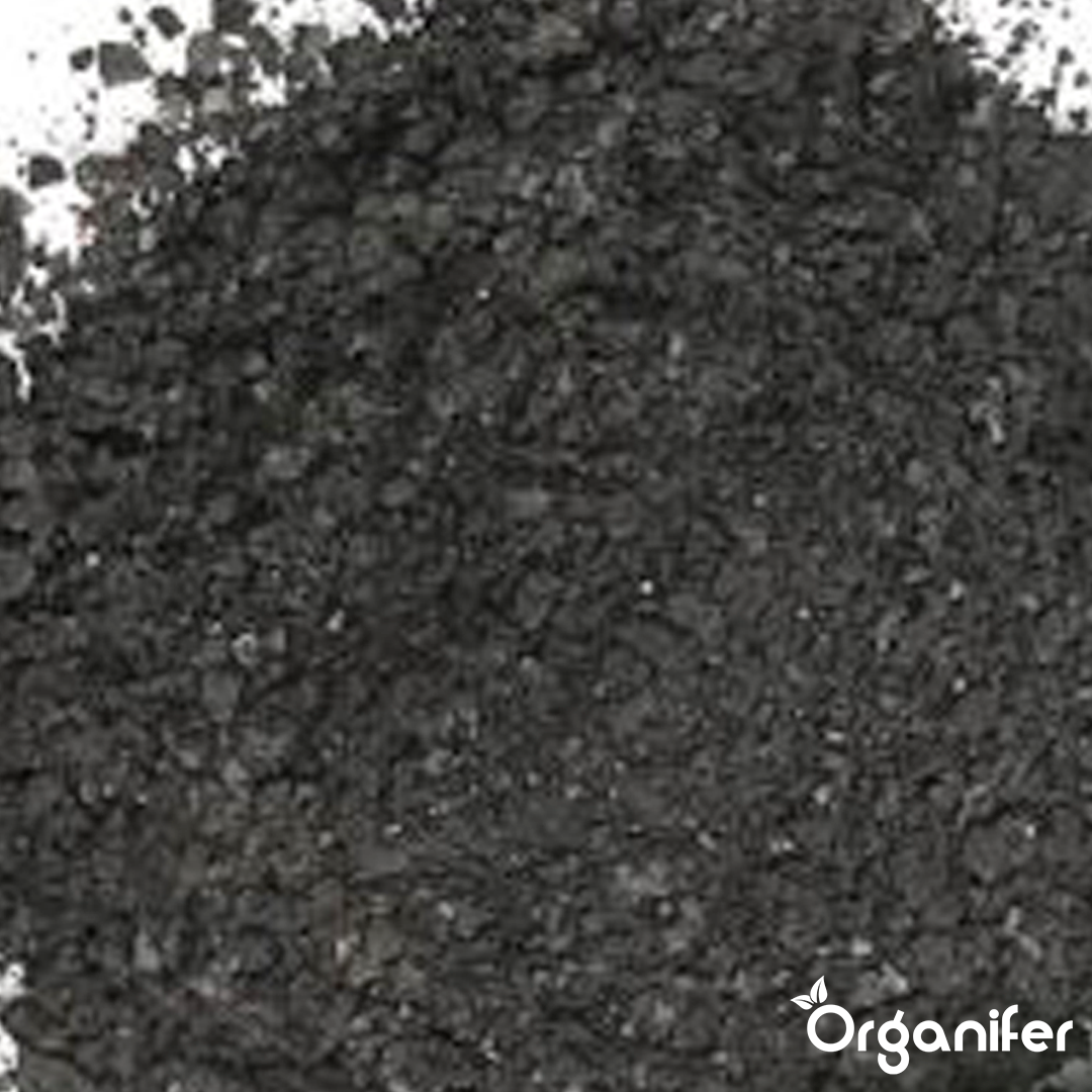 Biochar Soil Improver 10