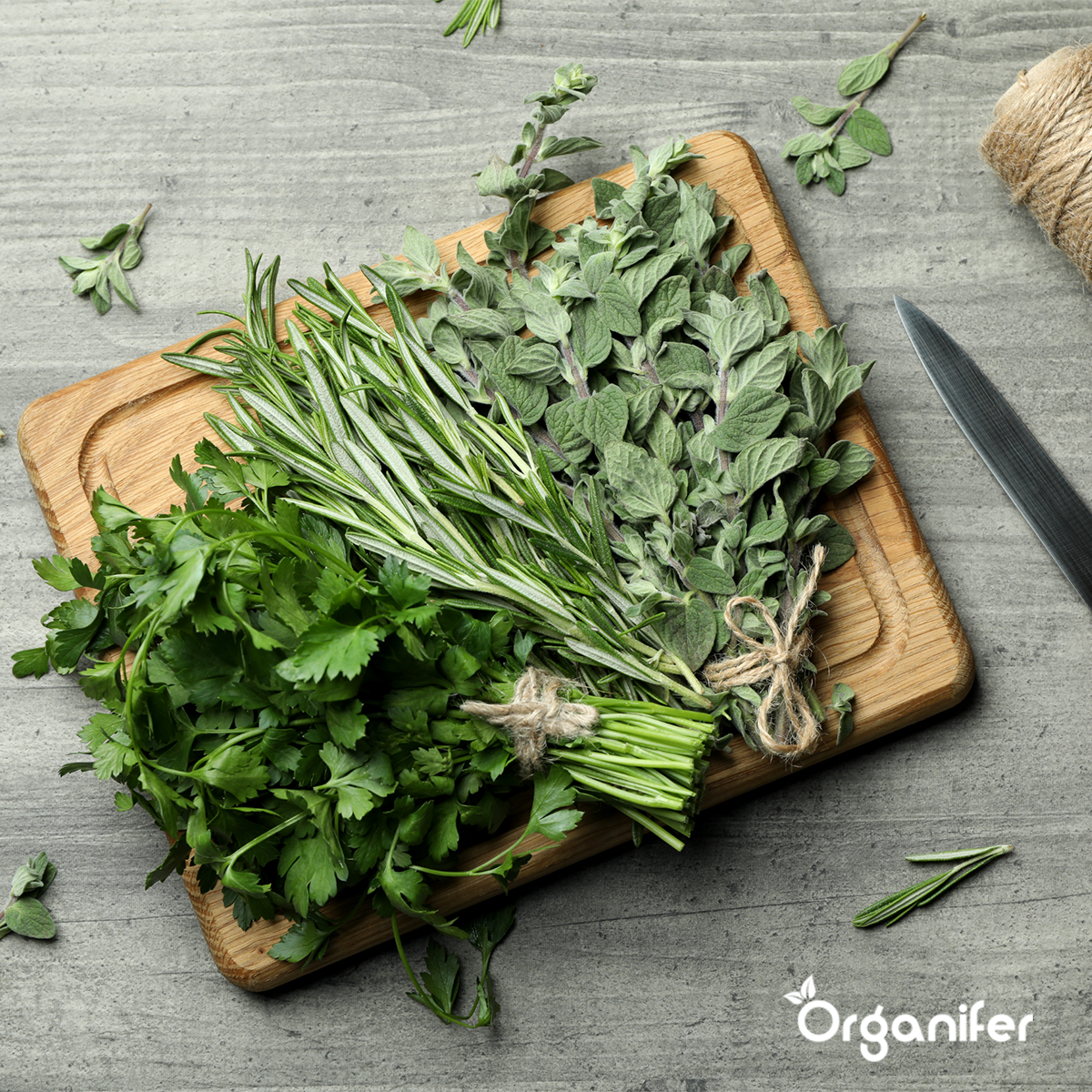 Ekologiskt Fröpaket för Örter – 10 Sorter