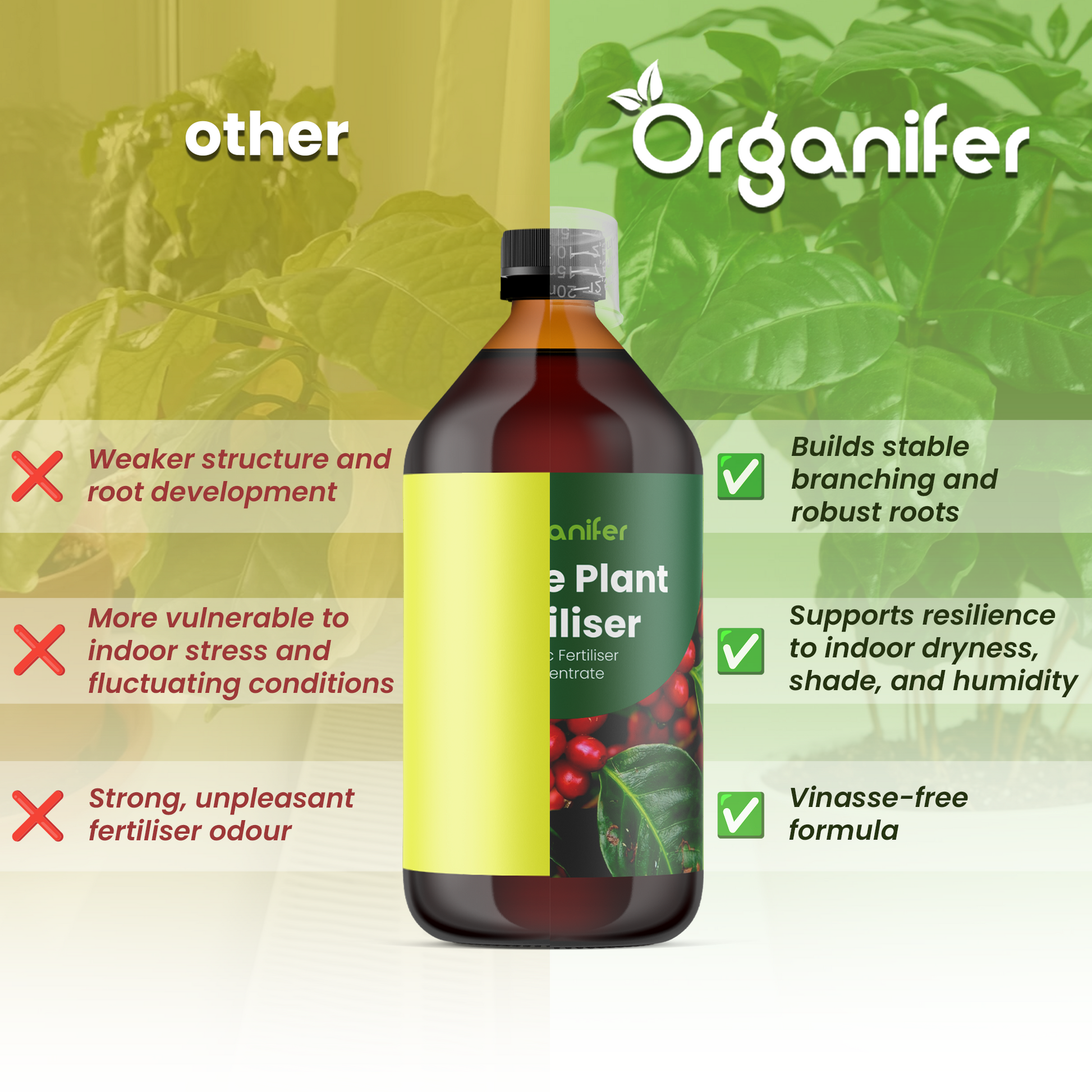 Coffee Plant comparison