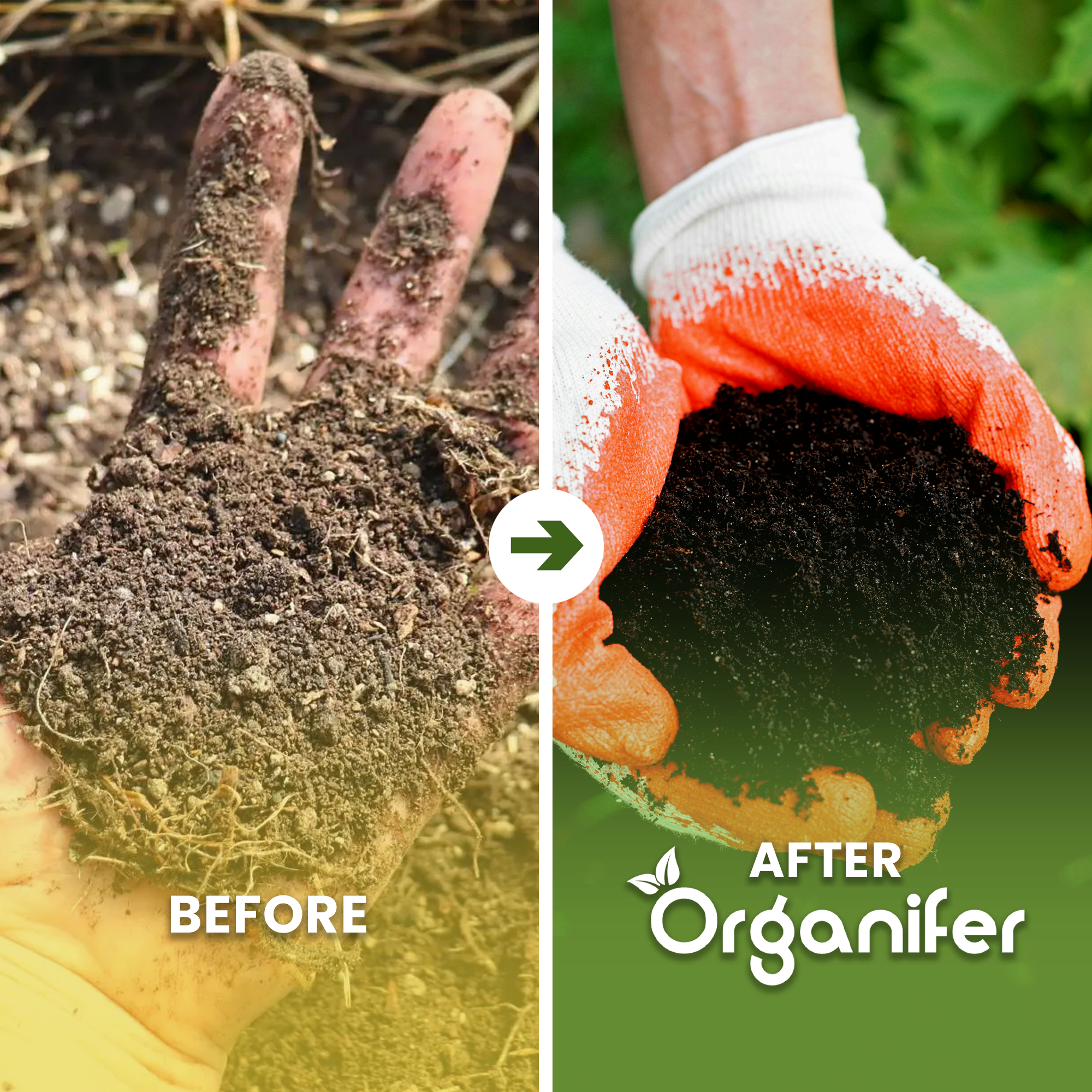 Compost Accelerator before after