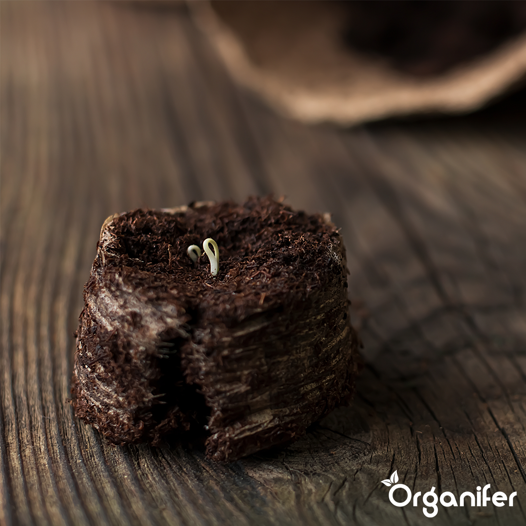 Compressed Coco Coir Tablets in 10 - Liter Bags - 12 - Pack - 120 Liters