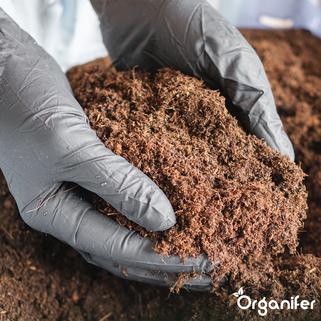 Coco Coir Kokossubstraat Tabletten - 24-pack van 10L zakken, totaal 240L