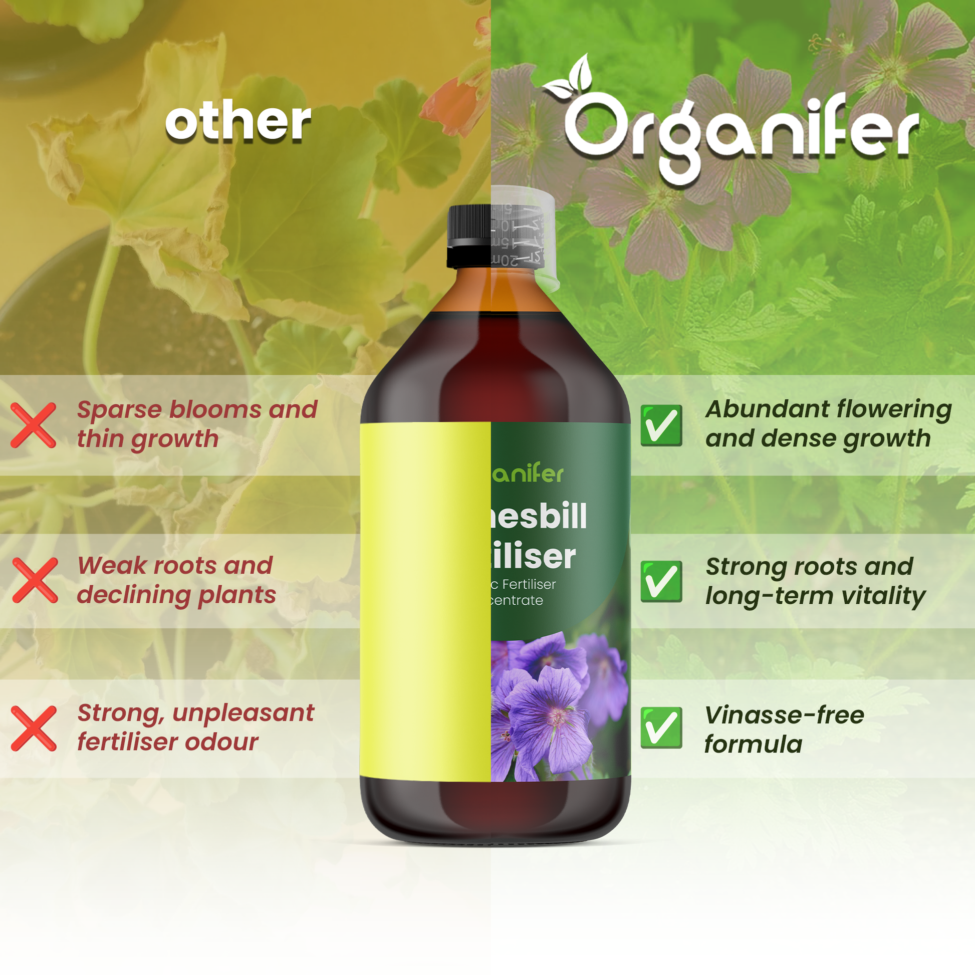 Cranesbill comparison