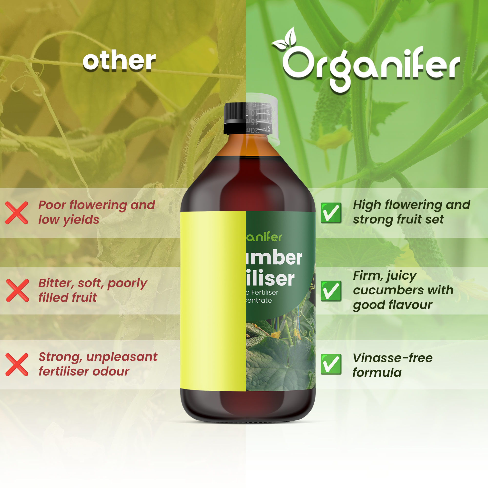 Cucumbers comparison