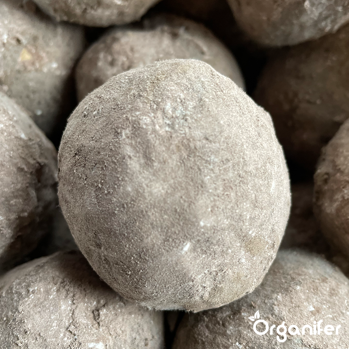 EM Voedingsballen voor Vijverplanten