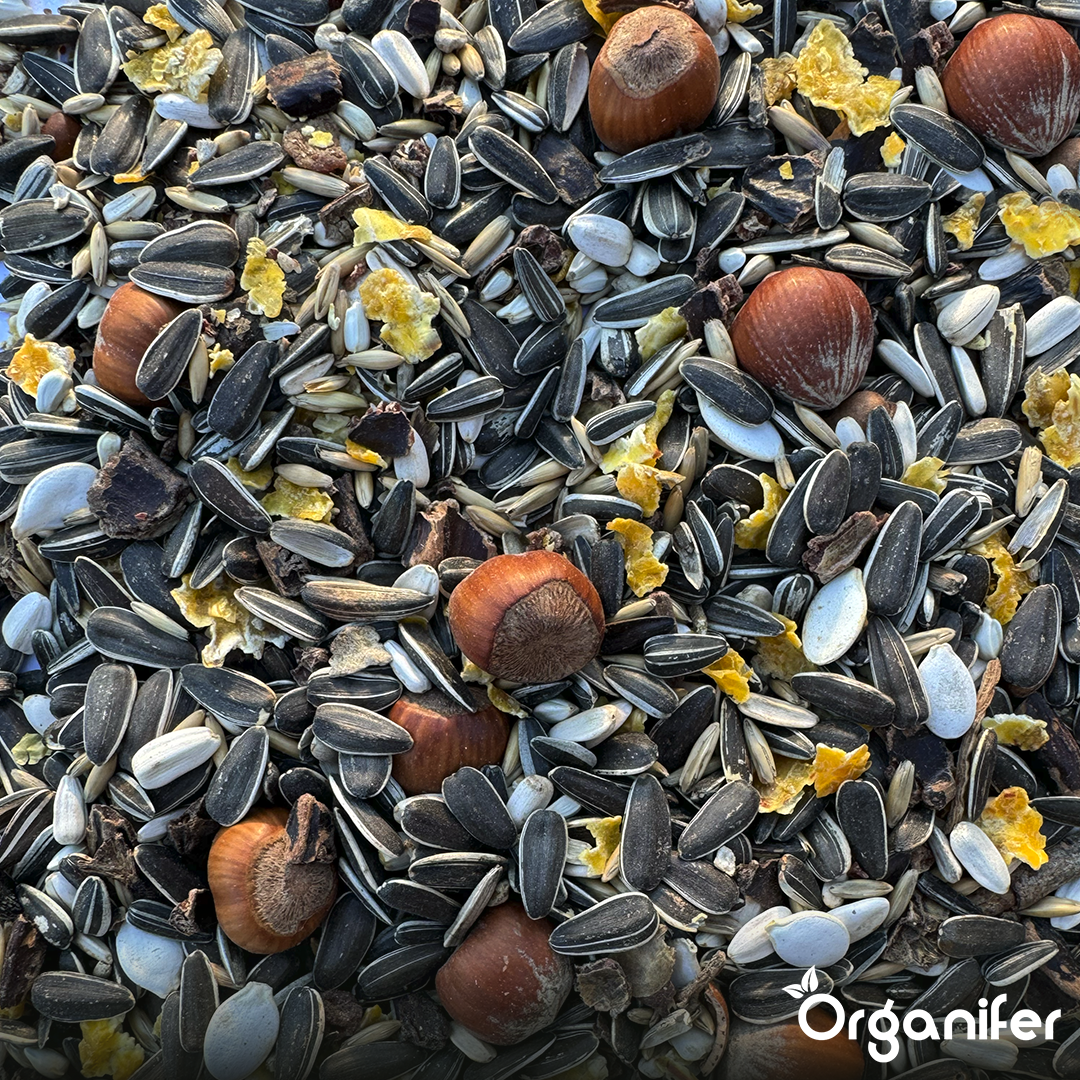 Premium Eichhörnchenfutter – Natürliche Mischung mit ganzen Nüssen (10 kg)