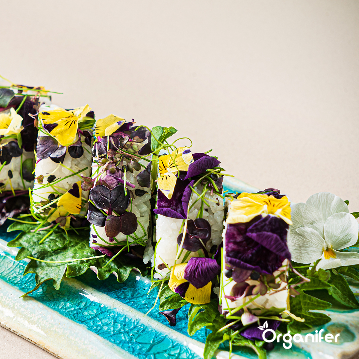 Balíček semen jedlých květin - 11 druhů