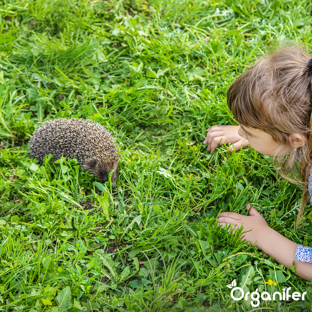 Ežiuko pašaras – visavertės natūralios granulės (5 kg)
