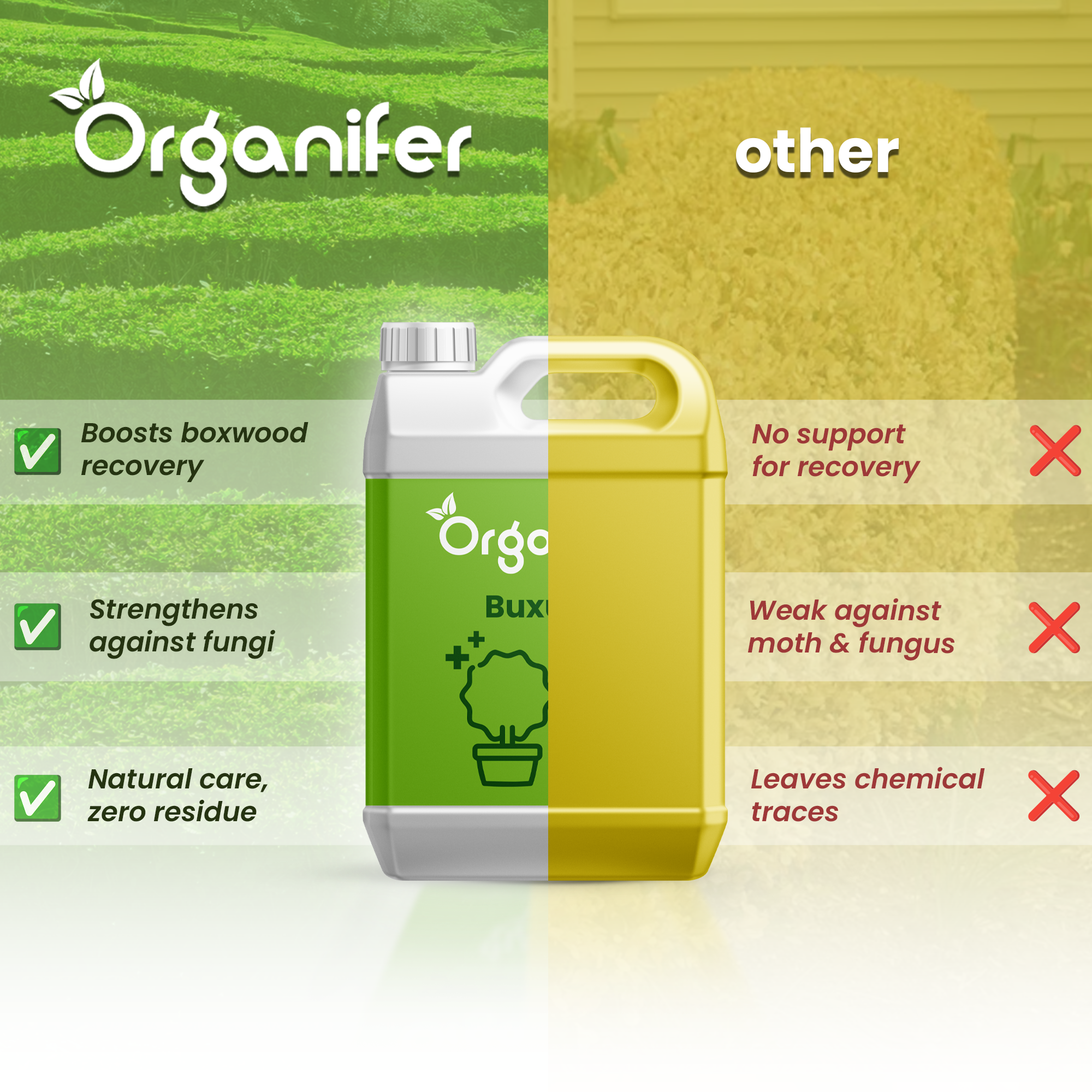 Buxus Vital comparison