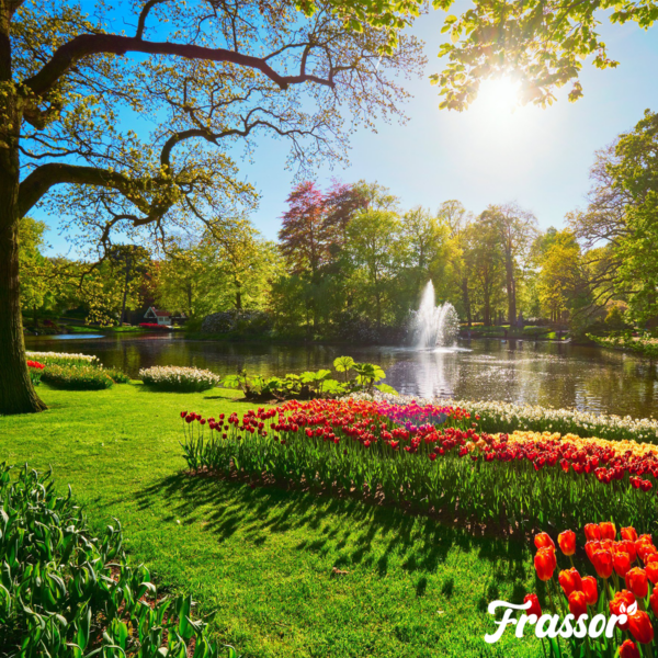 Frassor Insect Frass (5 kg – per 50 m2)