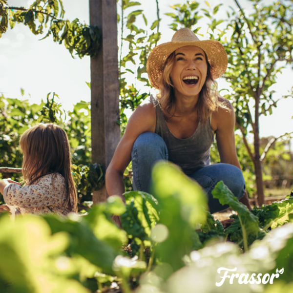 Frassor Insect Frass (10 kg – para 100 m2)