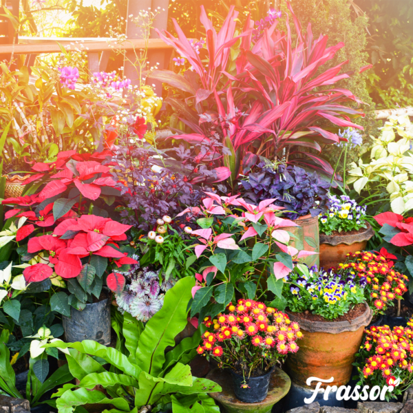 Frassor Insektendünger (Big Bag 1000 kg – für 10.000 m2)