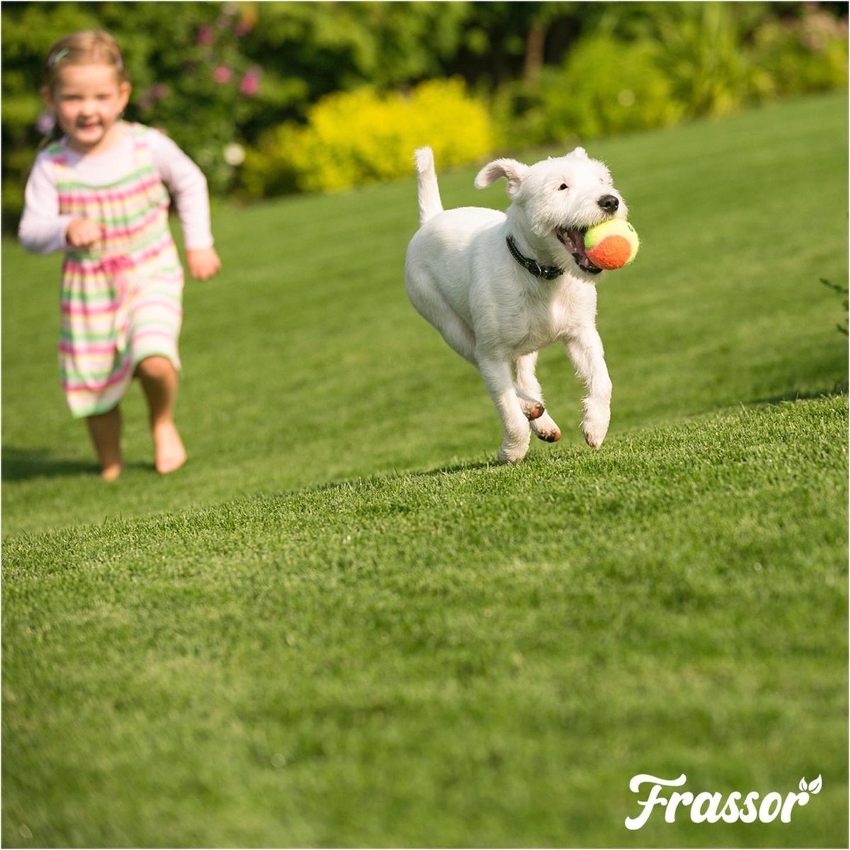 Frassor Insect Frass (10 kg – para 100 m2)